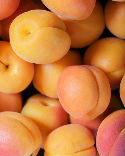 Apricots