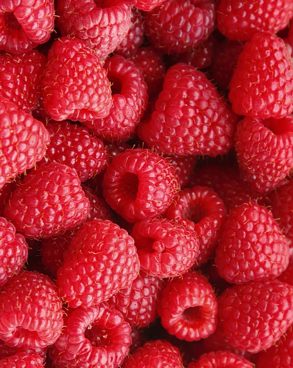 Raspberries for raspberry-flavored water