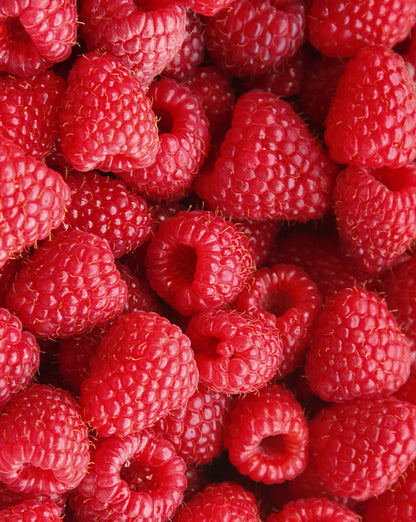 Himbeeren für Wasser mit Himbeergeschmack